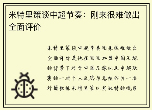 米特里策谈中超节奏：刚来很难做出全面评价