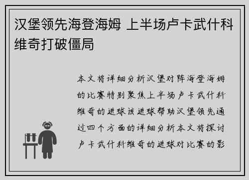 汉堡领先海登海姆 上半场卢卡武什科维奇打破僵局